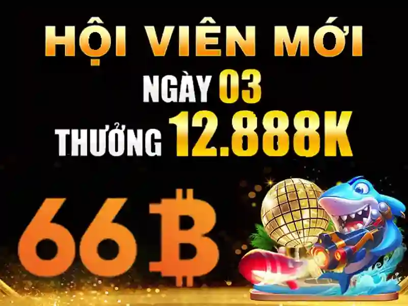 Ứng dụng của 66B Ứng dụng của 66B