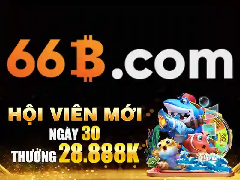 66b là gì trong thế giới số