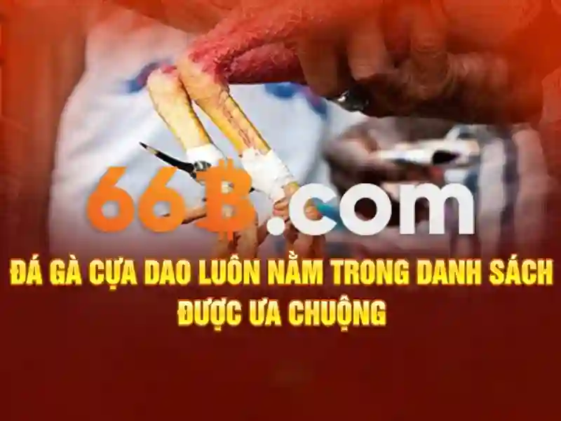 Ứng dụng thực tế của 66b