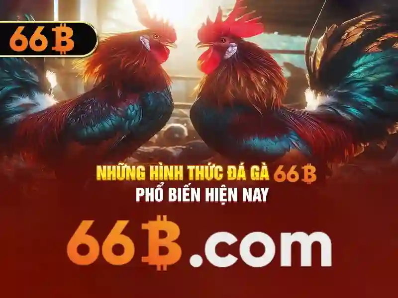 Biểu đồ tăng trưởng doanh thu của các đại lý 66b xuất sắc