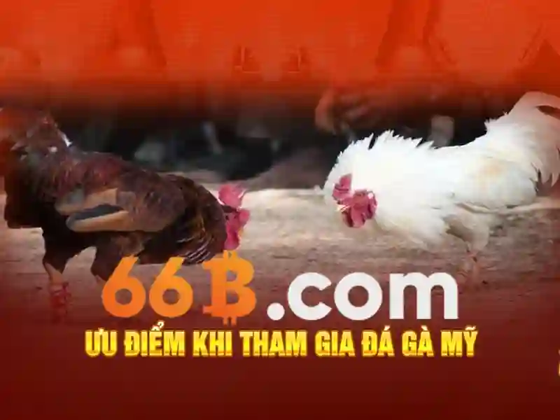 66b và tương lai của công nghệ 66b và tương lai của công nghệ