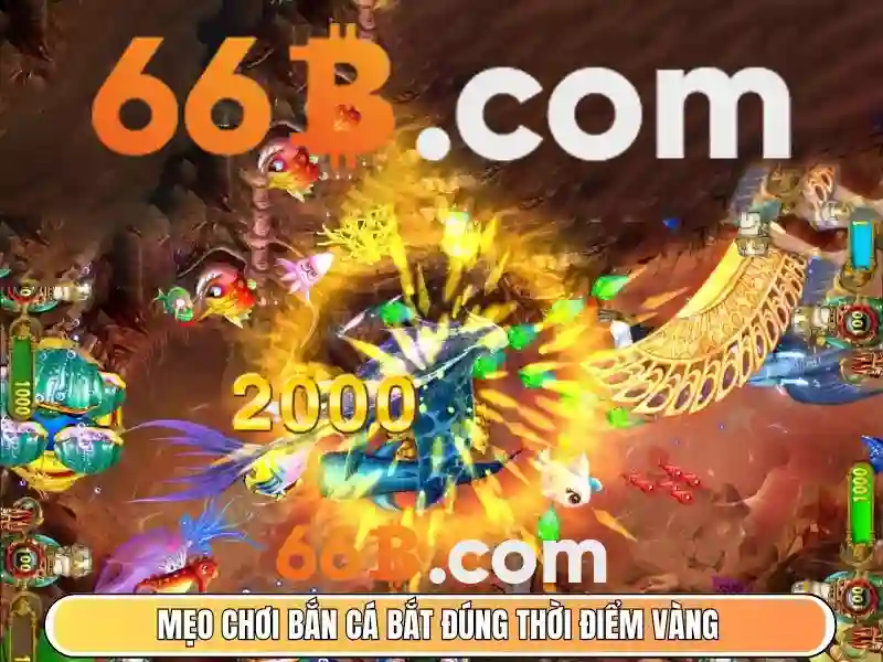 66b là gì?\n\n
