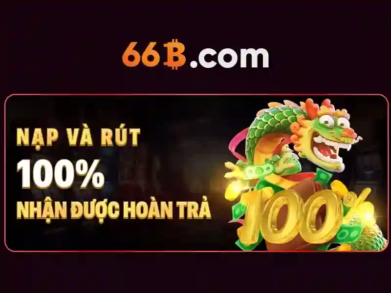 66b và các ngữ cảnh sử dụng