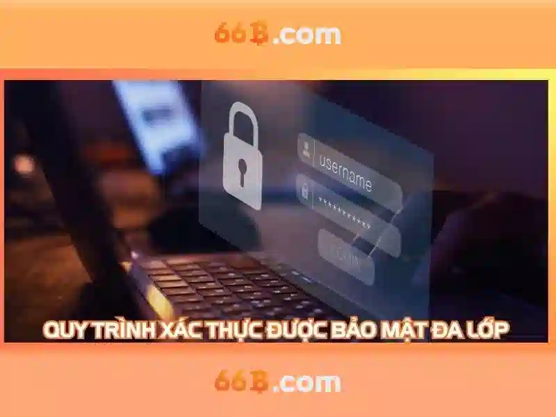 66b quang trung hải dương – Trải nghiệm người dùng và phản hồi