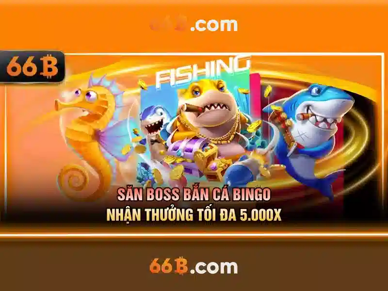 66b: một bí ẩn giữa số và chữ cái