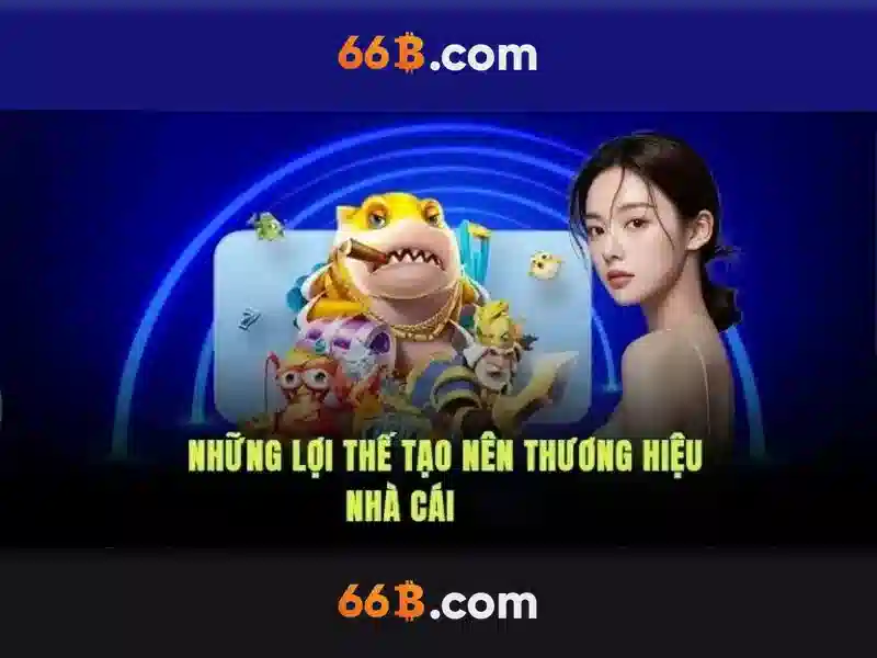 Khái niệm 66B