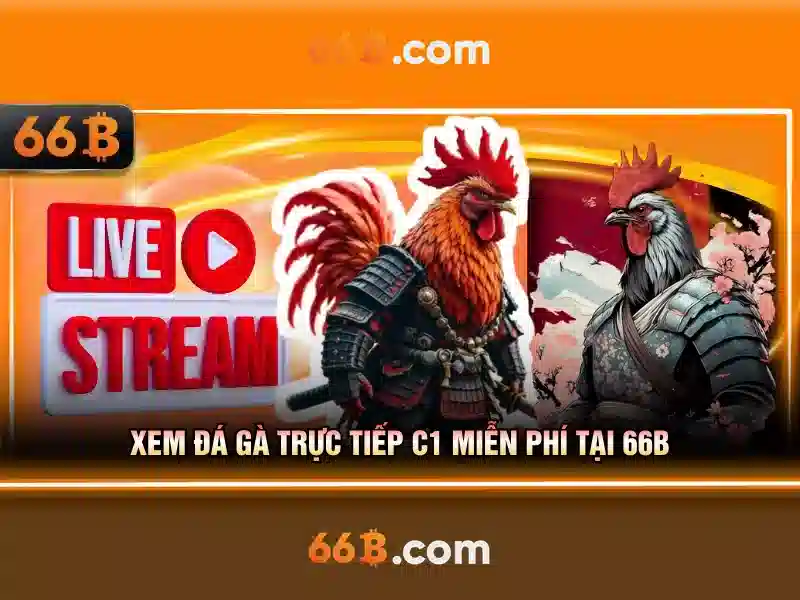 66B: Mô hình ngôn ngữ 66 tỷ tham số và những ứng dụng
