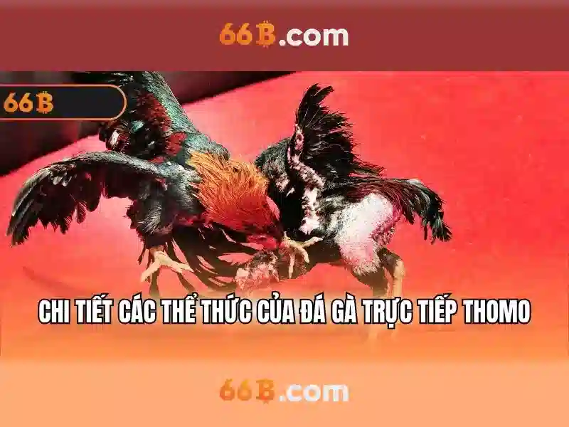 Ứng dụng thực tế và ví dụ