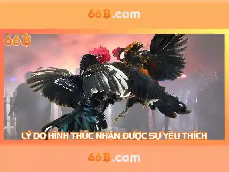 66b: Ý nghĩa, nguồn gốc và ứng dụng