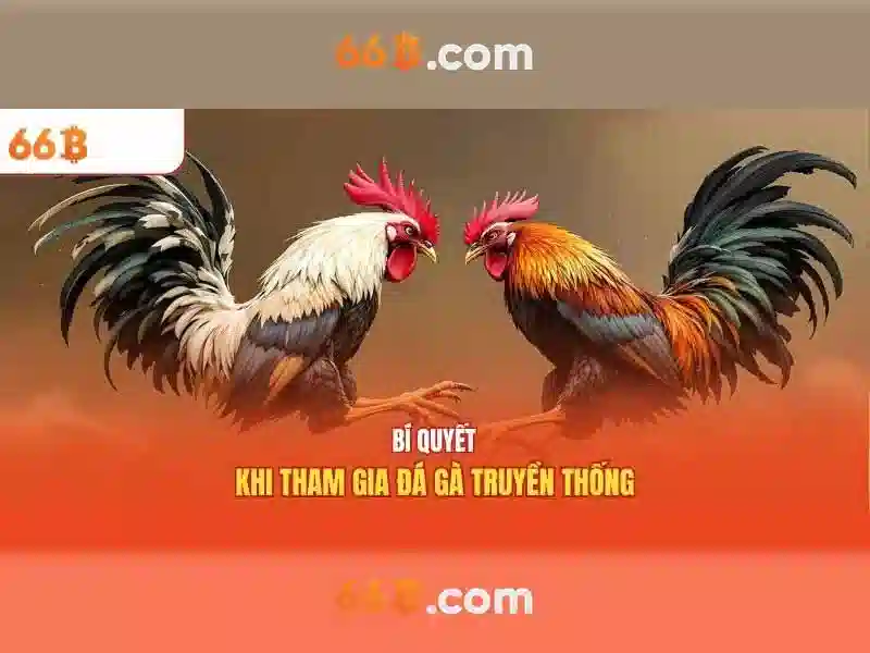 Giới thiệu về 66B