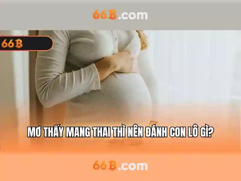 Giới thiệu về 66B Giới thiệu về 66B