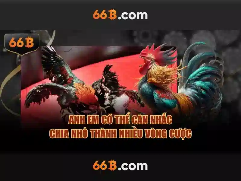 66B là gì?