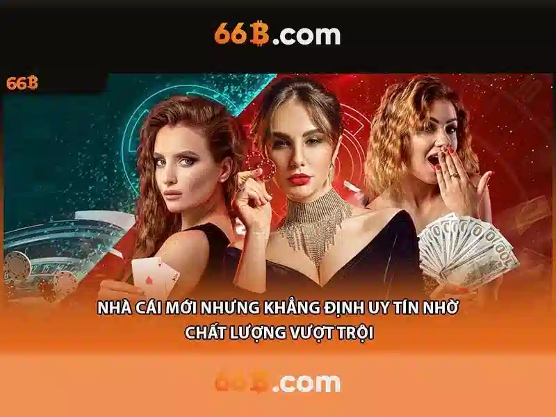 66B là gì? 66B là gì?