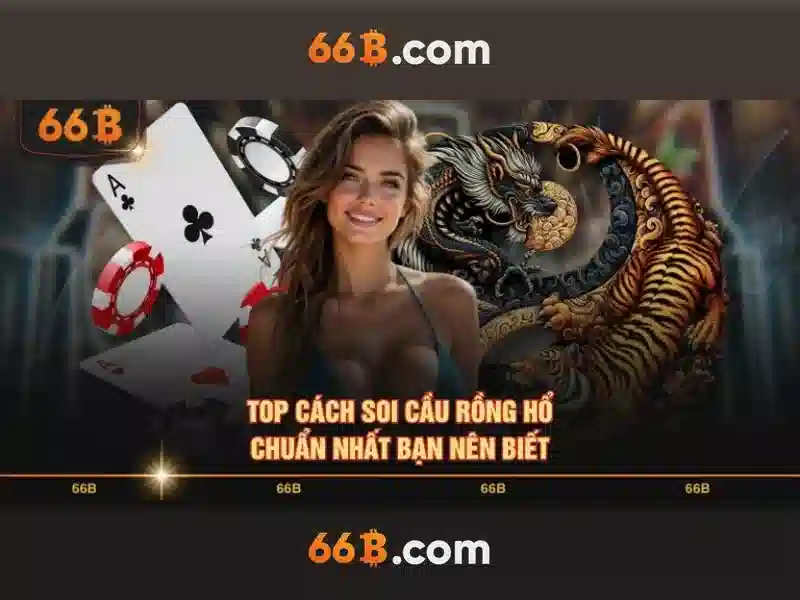 Kiến trúc và kích thước của 66B\n Kiến trúc và kích thước của 66B\n