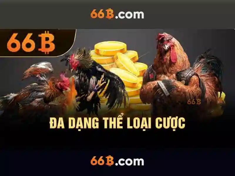 Hiệu suất và ứng dụng