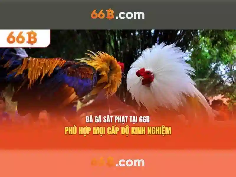 66b: Khám phá mô hình ngôn ngữ lớn 66 tỷ tham số