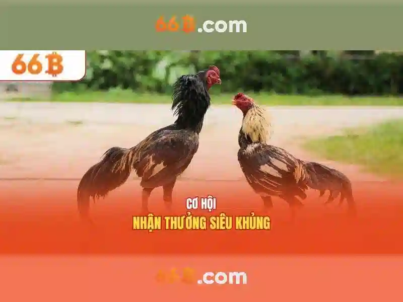 66B: Khải phóng sức mạnh của mô hình ngôn ngữ 66B