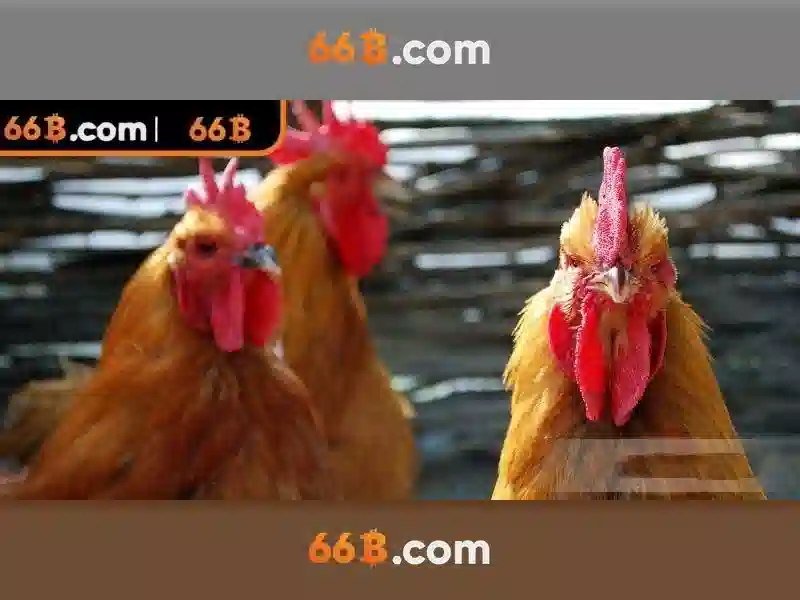 Khả năng và ứng dụng