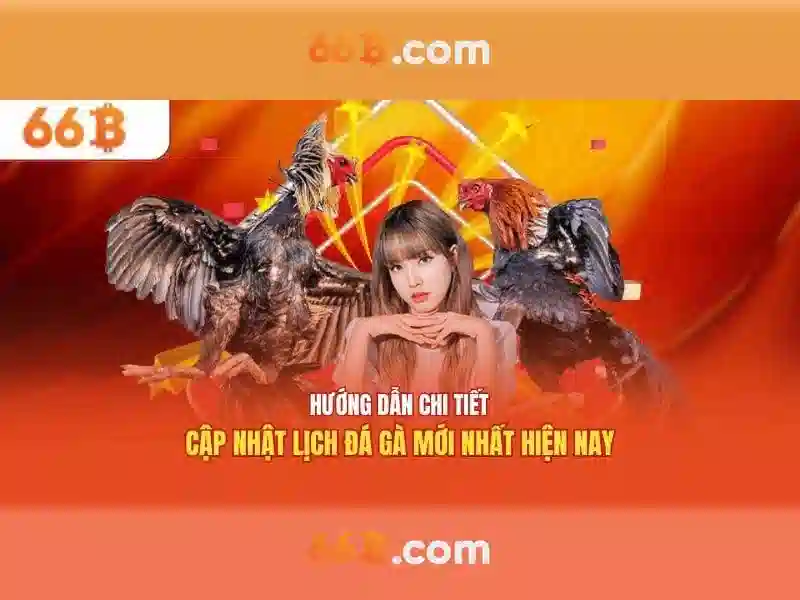 Giới thiệu về mô hình 66B Giới thiệu về mô hình 66B