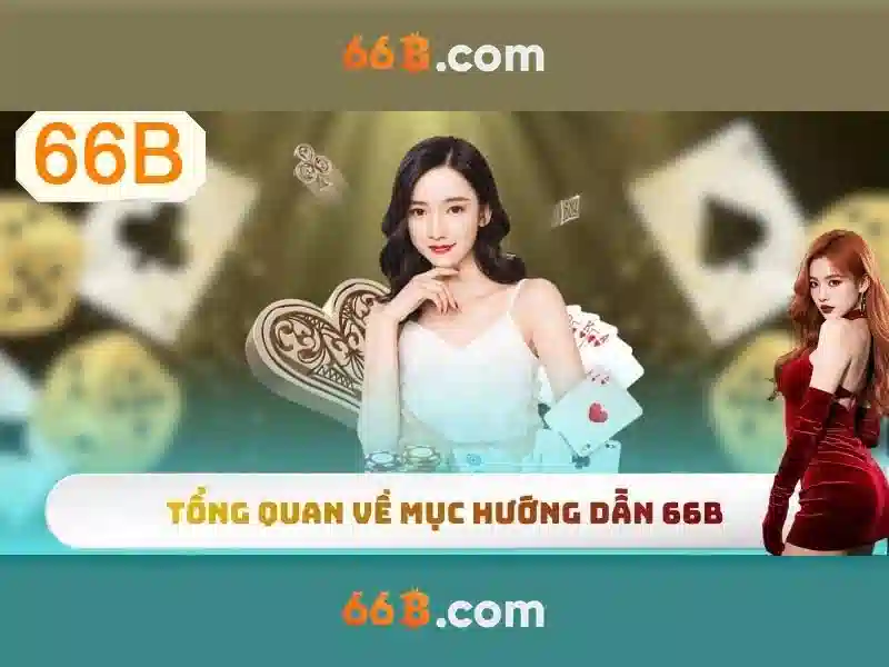 66b hoạt động bao lâu – chủ đề tổng quan và giá trị cốt lõi
