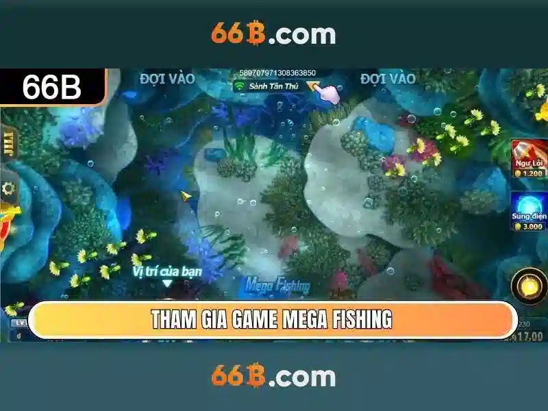 Giới thiệu về 66B