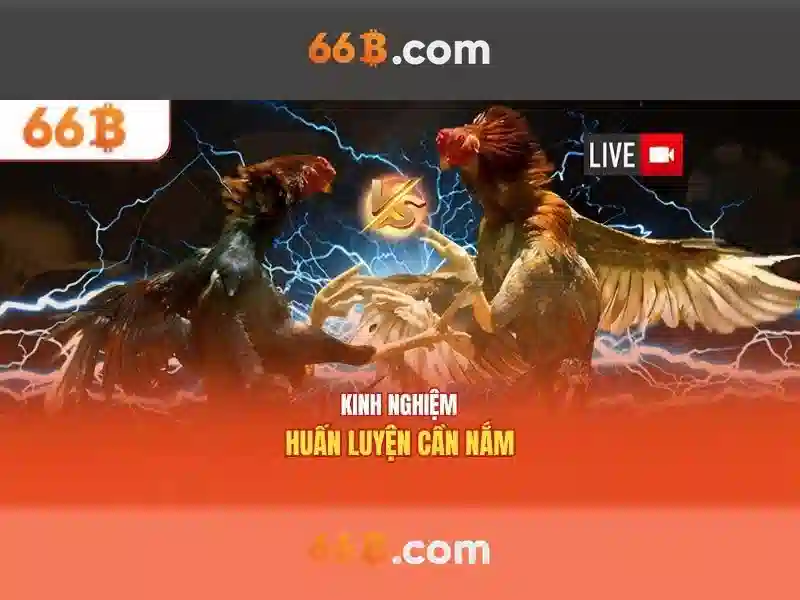 66B: Mô hình ngôn ngữ quy mô lớn cho AI hiện đại