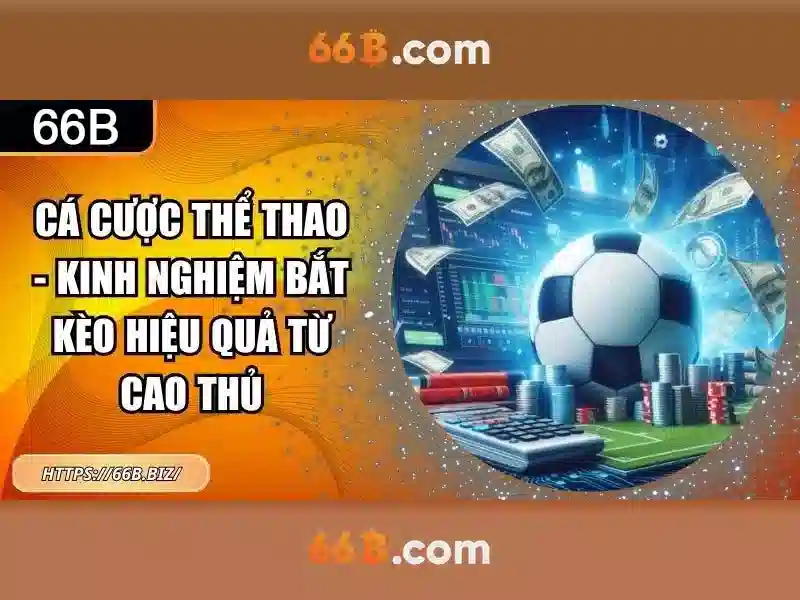 Tổng quan về mô hình 66B Tổng quan về mô hình 66B