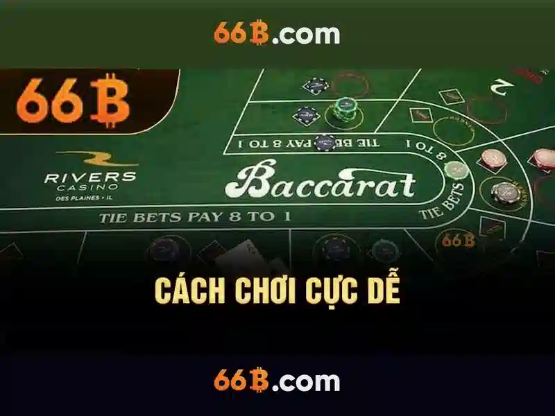 Hiệu suất và tối ưu hóa\n\n