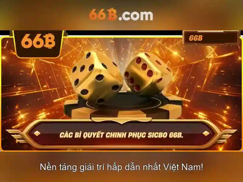 66b tran hung dao – Tổng quan, ứng dụng và trải nghiệm