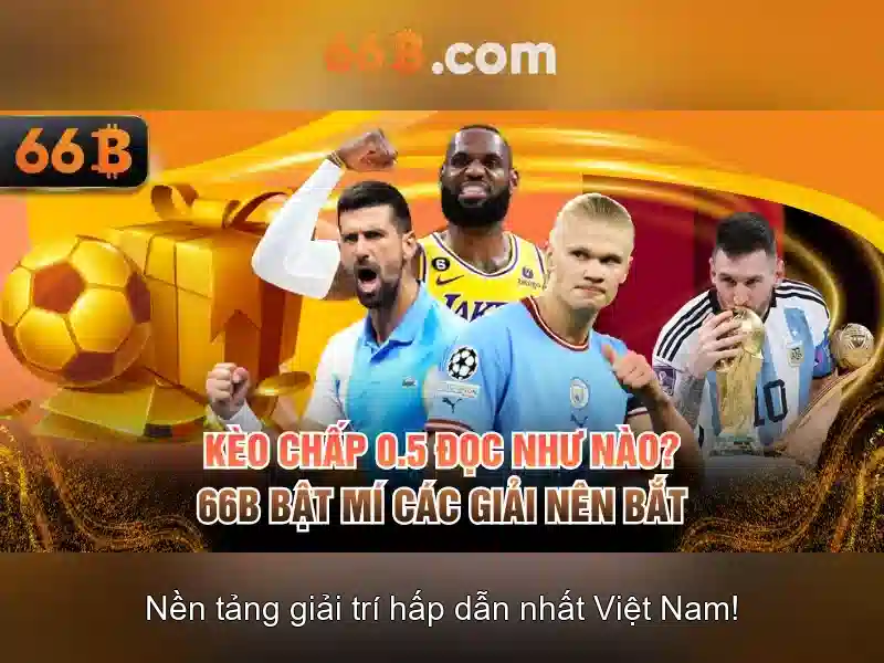 66b là gì và tại sao nó quan trọng\n\n