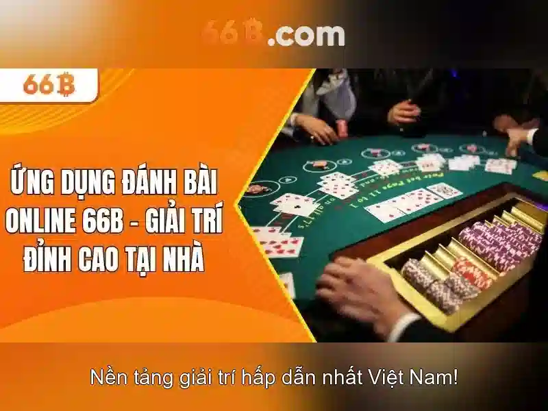 66B: Định nghĩa, đặc điểm và ứng dụng