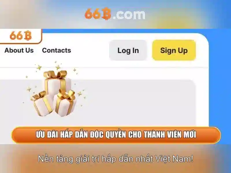 66b là gì? 66b là gì?