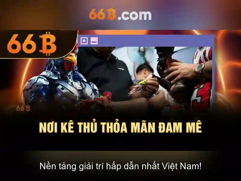 66b: khái niệm và nguồn gốc