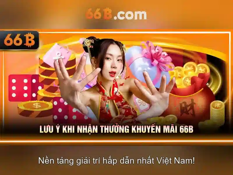 66B là gì?