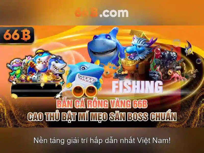 66B: khái niệm, cấu hình và ứng dụng