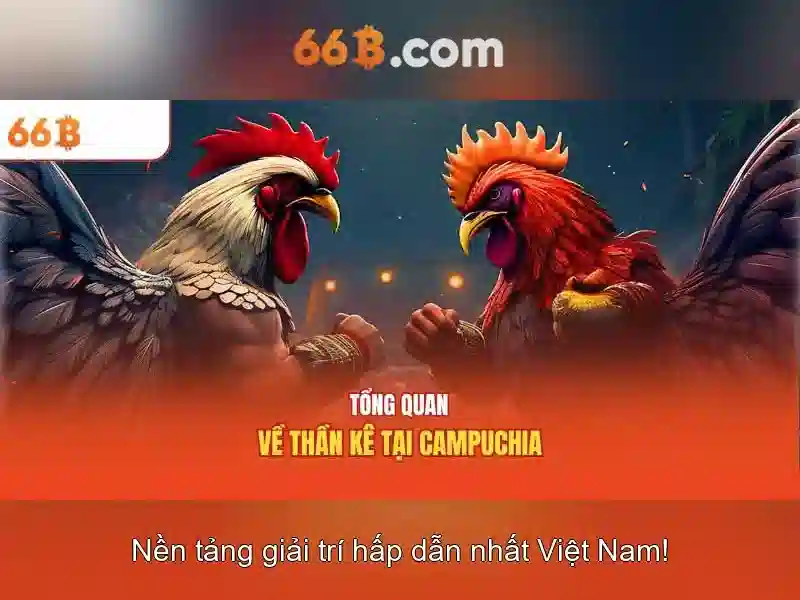 Kết luận