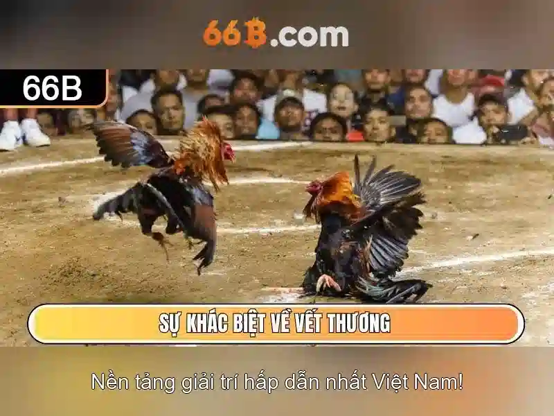 66B: Khái niệm, sức mạnh và ứng dụng