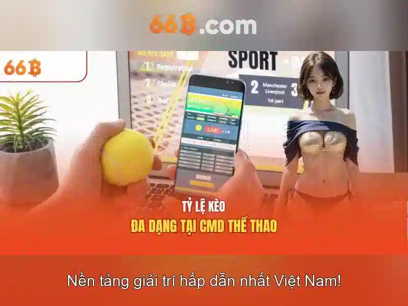 Cấu trúc và quy mô Cấu trúc và quy mô
