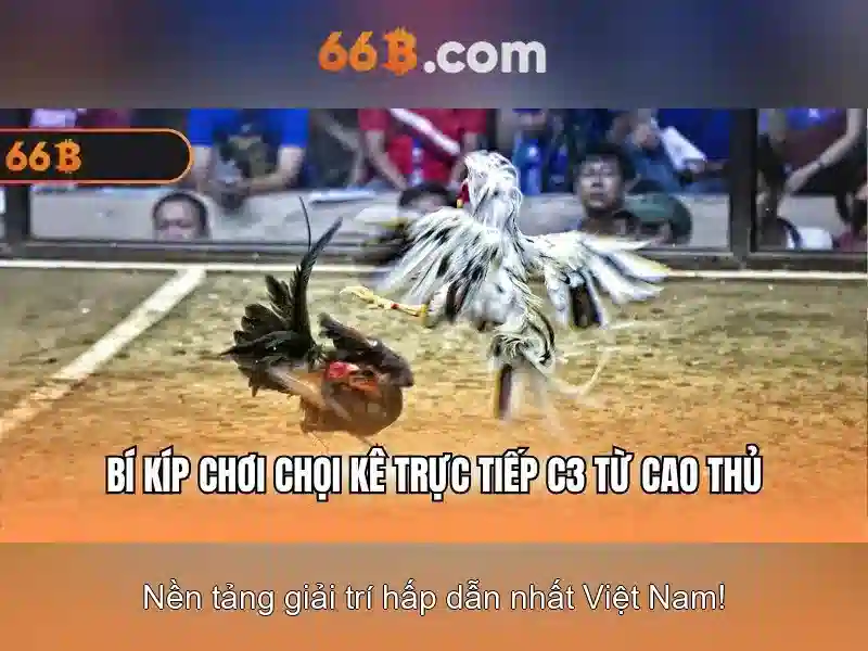 Ứng dụng chính của 66b