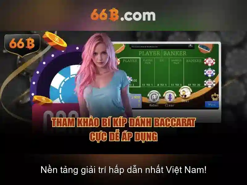 66b trong công nghệ và nghệ thuật