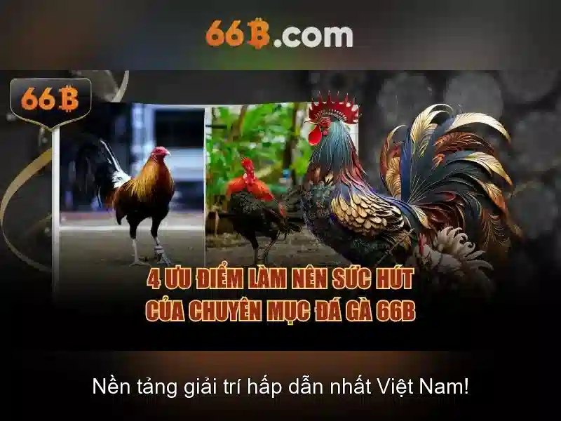 Đào tạo và chất lượng dữ liệu