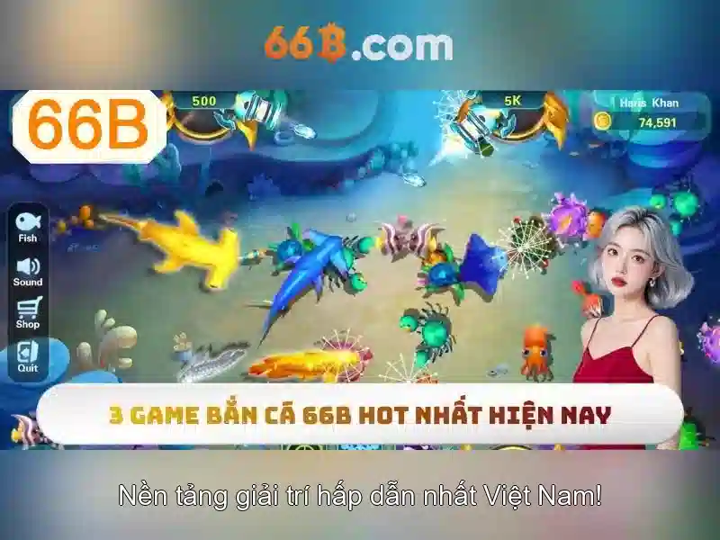 66B là gì?
