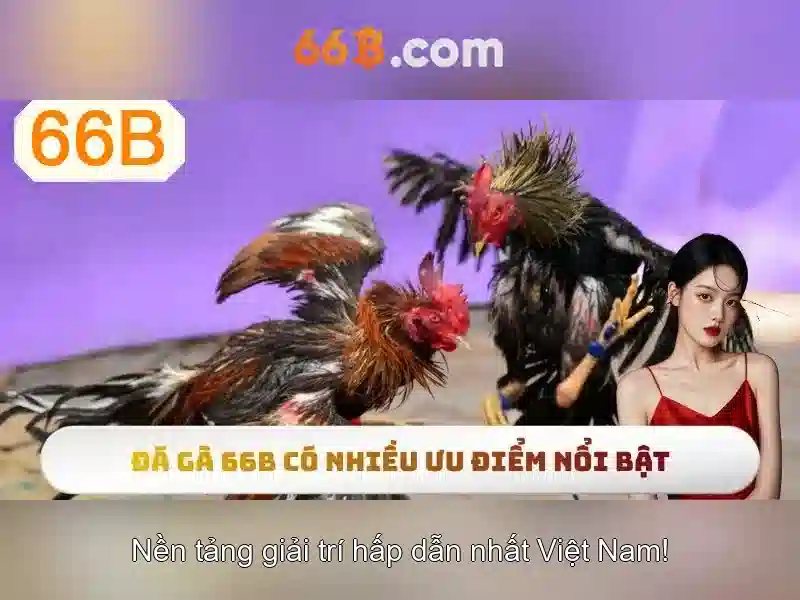 Cấu trúc và quy mô Cấu trúc và quy mô