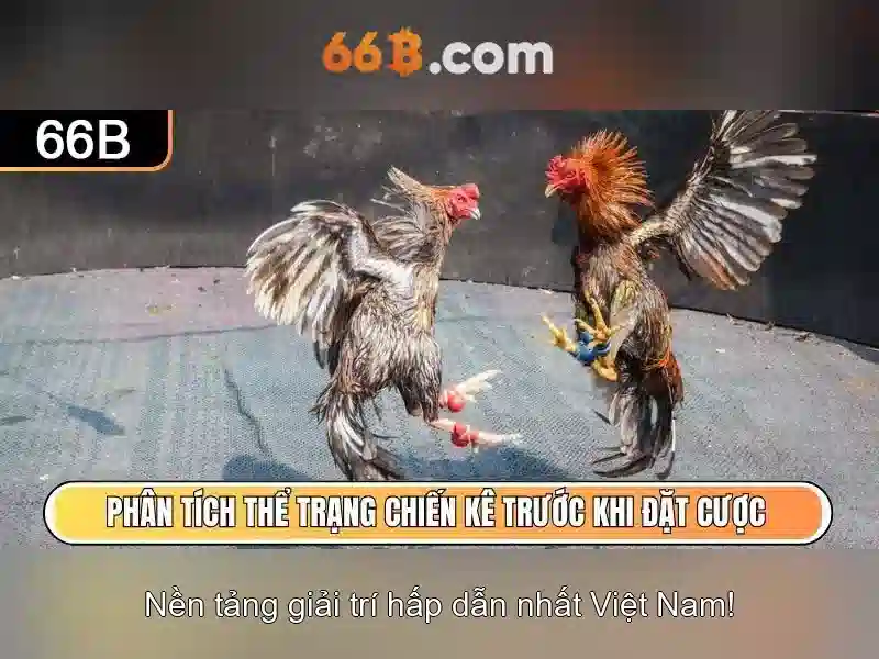 66B là gì? - Mô hình ngôn ngữ lớn với 66 tỷ tham số