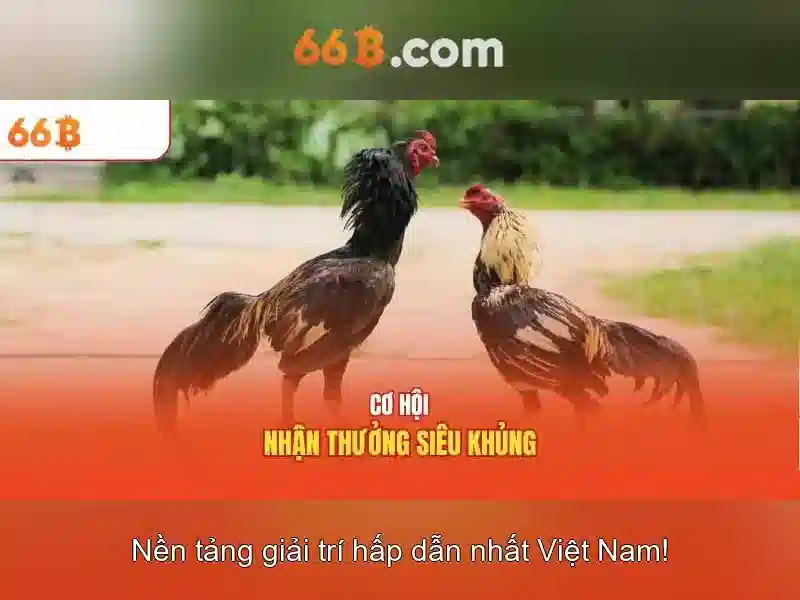 Ứng dụng của 66B trong thực tế\n Ứng dụng của 66B trong thực tế\n