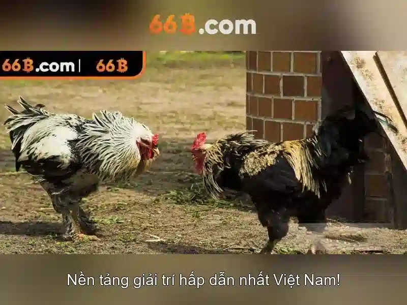 Lợi thế và sức cạnh tranh của 66b nguyễn thi sách