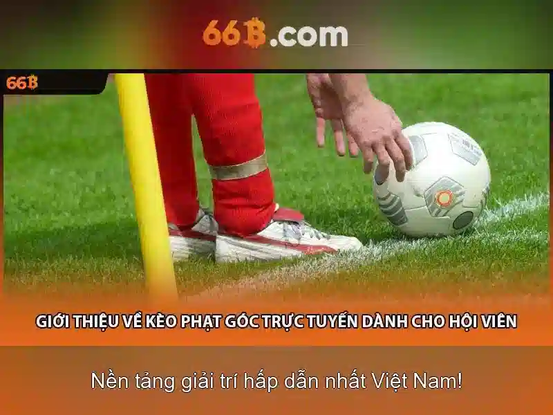 Ứng dụng của 66B trong công việc và nghiên cứu
