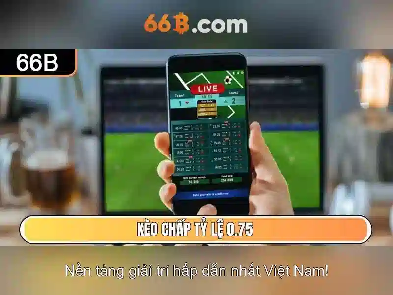 Giới thiệu về 66B