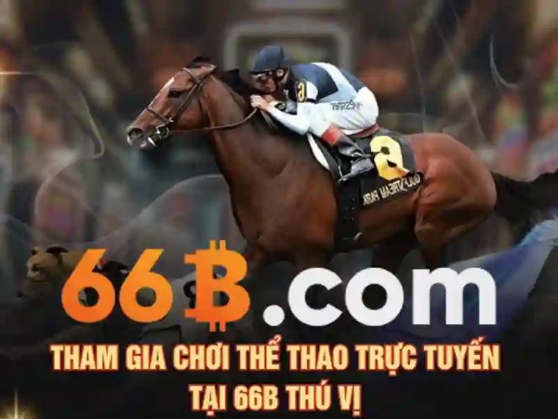Cấu trúc và kích thước của 66B Cấu trúc và kích thước của 66B