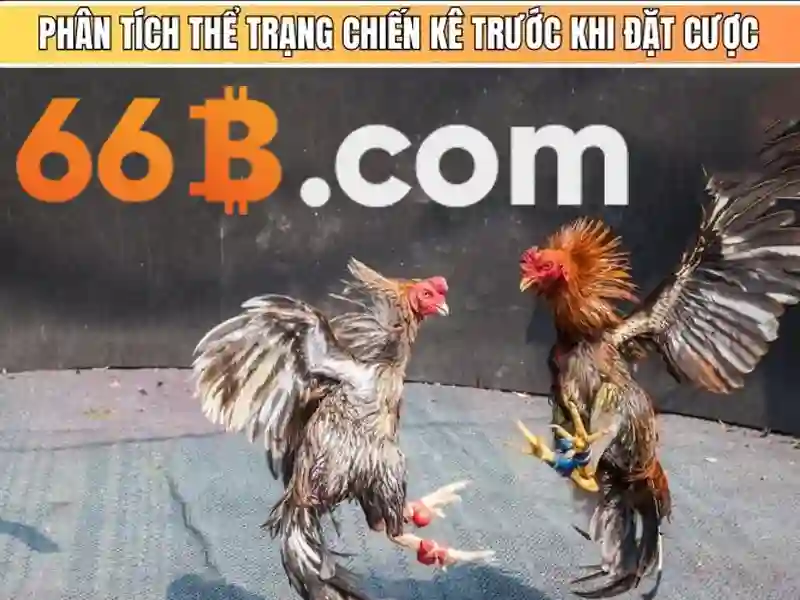 Kiến trúc cơ bản của 66B